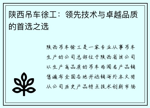 陕西吊车徐工：领先技术与卓越品质的首选之选
